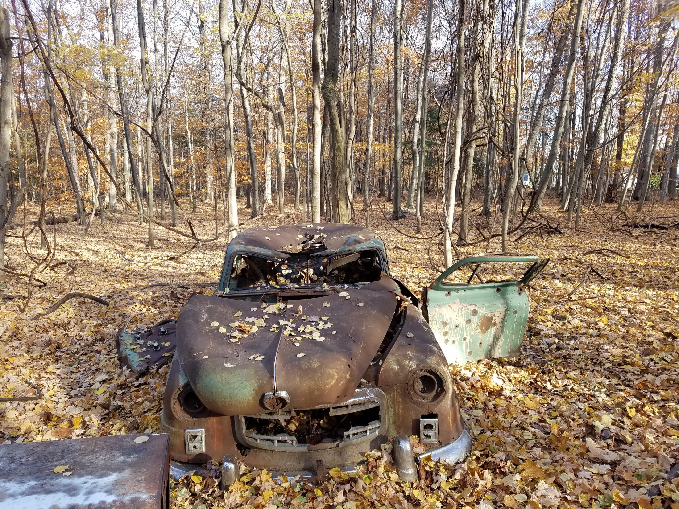 Abandoned car circa 1940s in Four Mile Creek Preserve