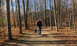 Bird Sanctuary Trail