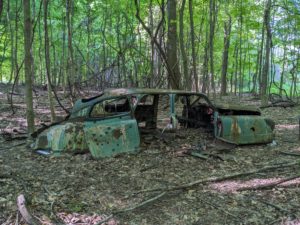 Four Mile Creek Preserve