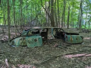 Four Mile Creek Preserve