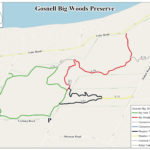 Gosnell Big Woods map