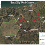 Gosnell Big Woods Preserve satellite map