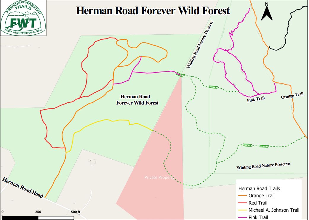 Herman Road Forever Wild Forest