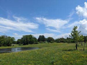 Finn Park Nature Trail