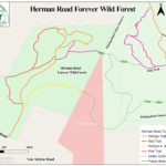 Herman Road Forever Wild Forest map