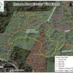 Herman Road Forever Wild Forest satellite map