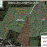 Herman Road Forever Wild Forest satellite map