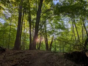John Ungar & Michael A. Johnson Trails