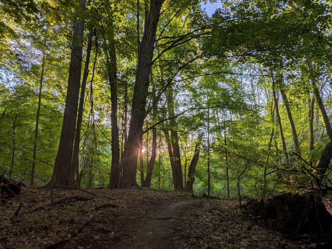 John Ungar  & Michael A. Johnson Trails