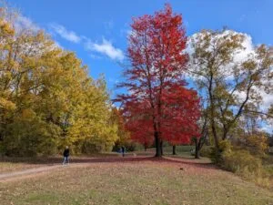 Charles E. Sexton Memorial Park