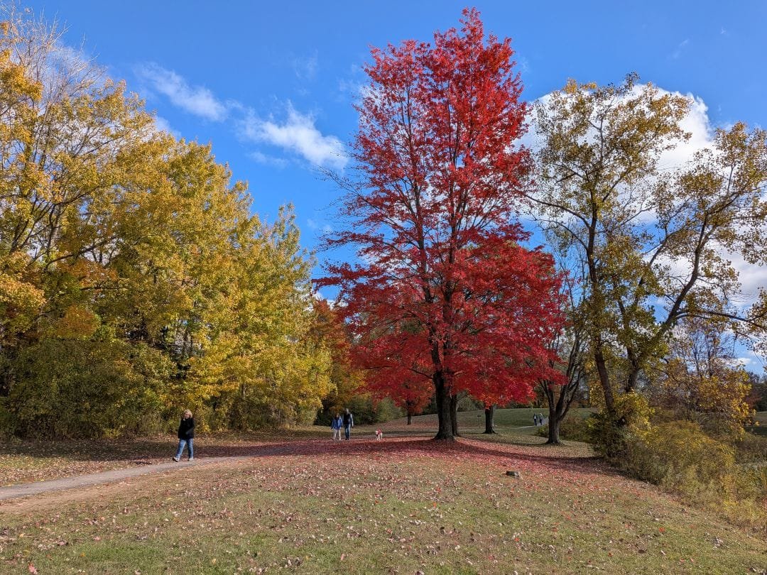 Charles E. Sexton Memorial Park