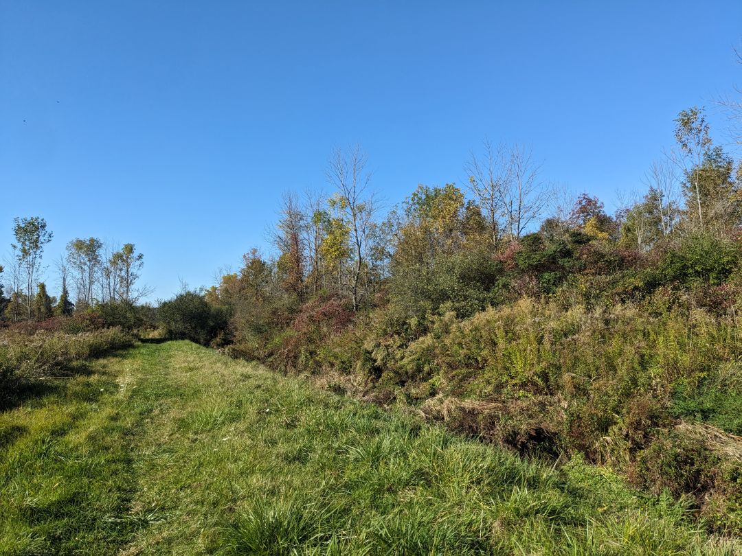 State Road Nature Preserve