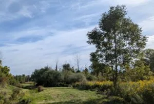 State Road Nature Preserve