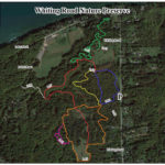 Whiting Road Nature Preserve satellite map