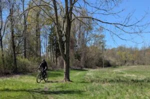 Whiting Road Nature Preserve