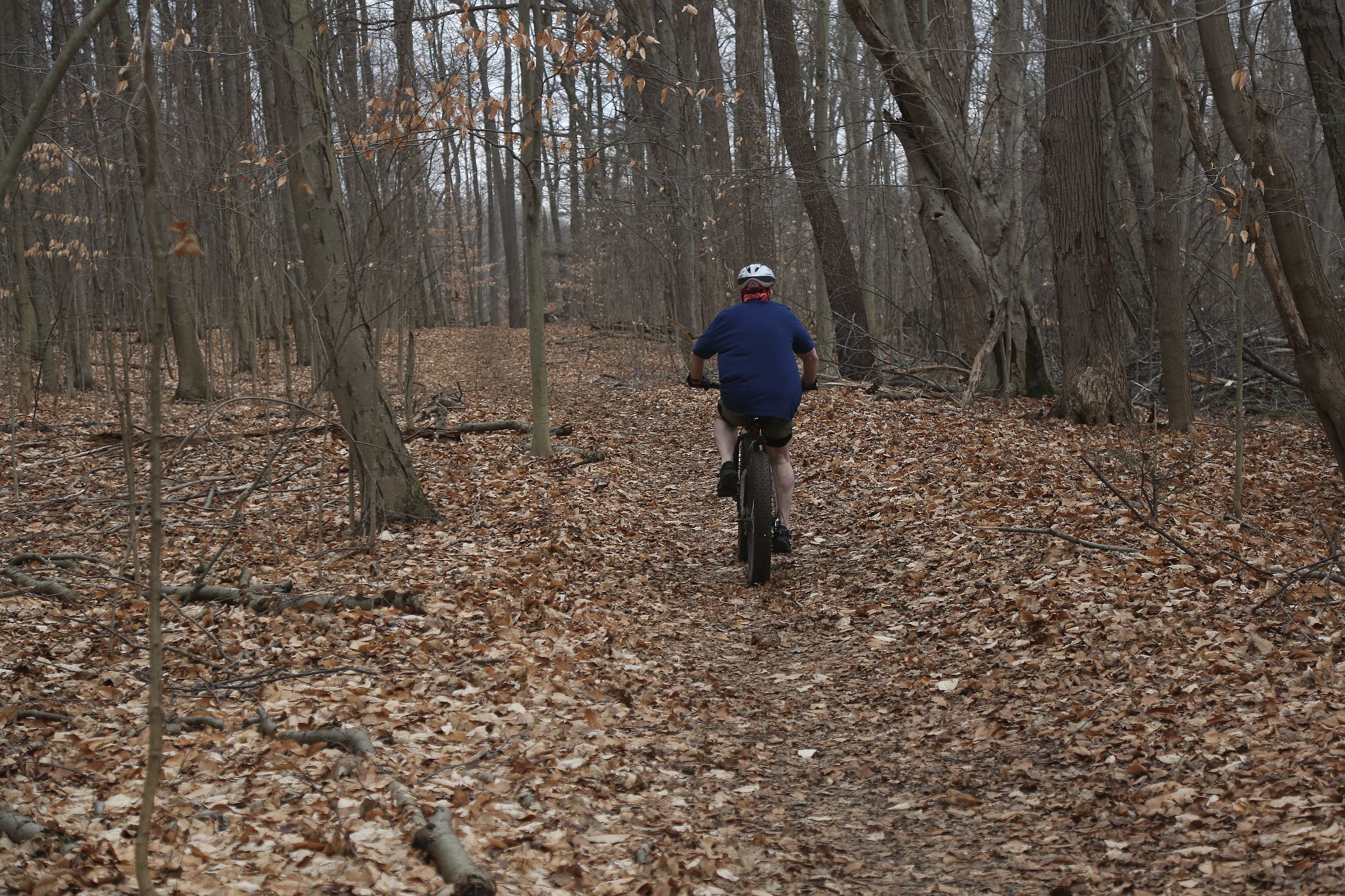 A person in a blue shirt riding a mountain bike along the leaf covered Midnight Trail. It is an overcast winter day, but no snow is on the ground.