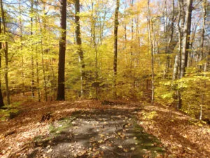 John Ungar & Michael A. Johnson Trails