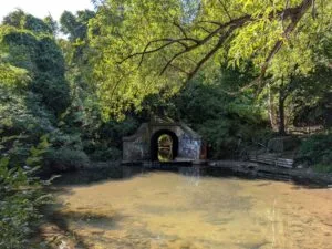 Vosburg Hollow Nature Trail