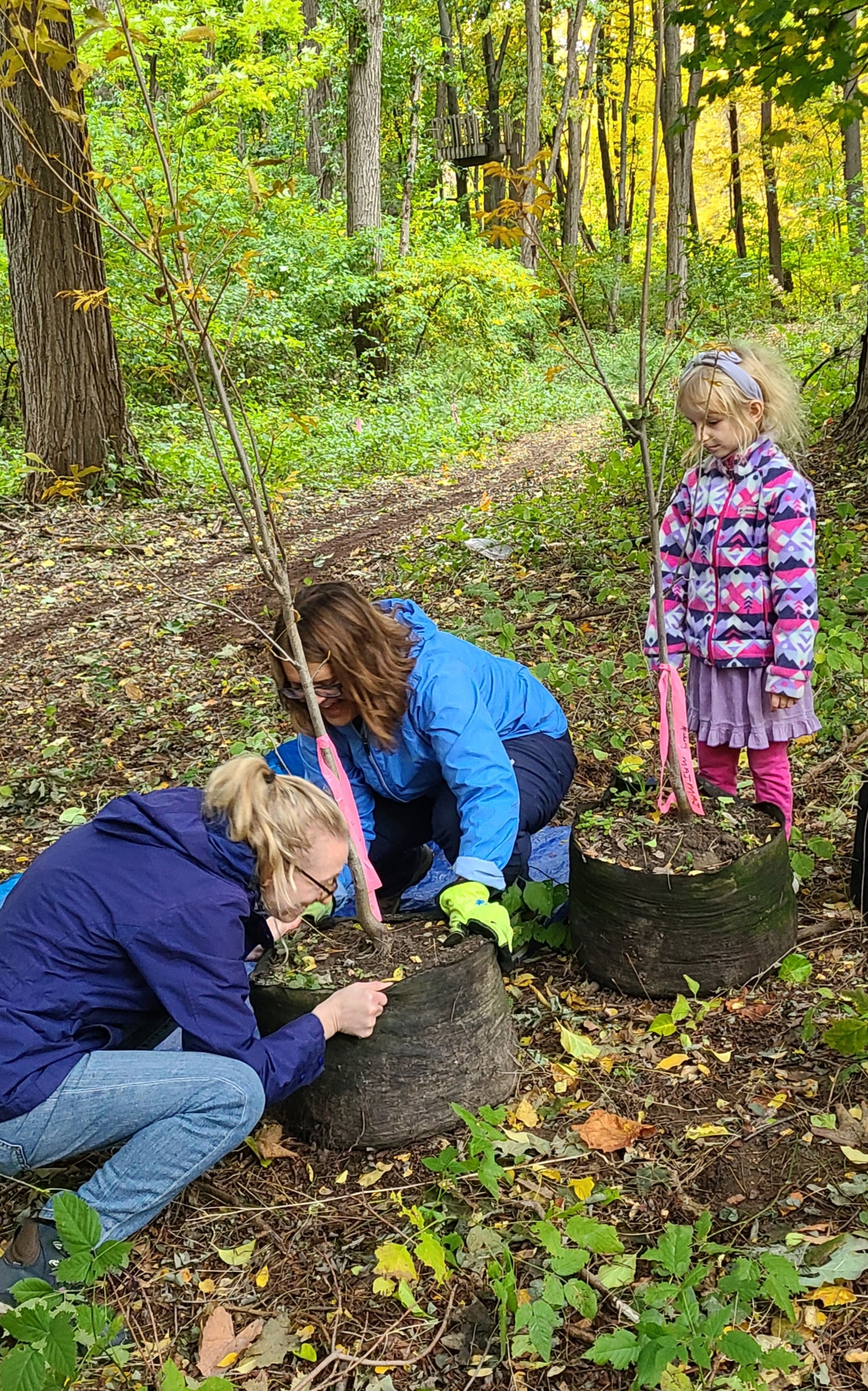 A child looks on while two women plant a sapling along the trail.