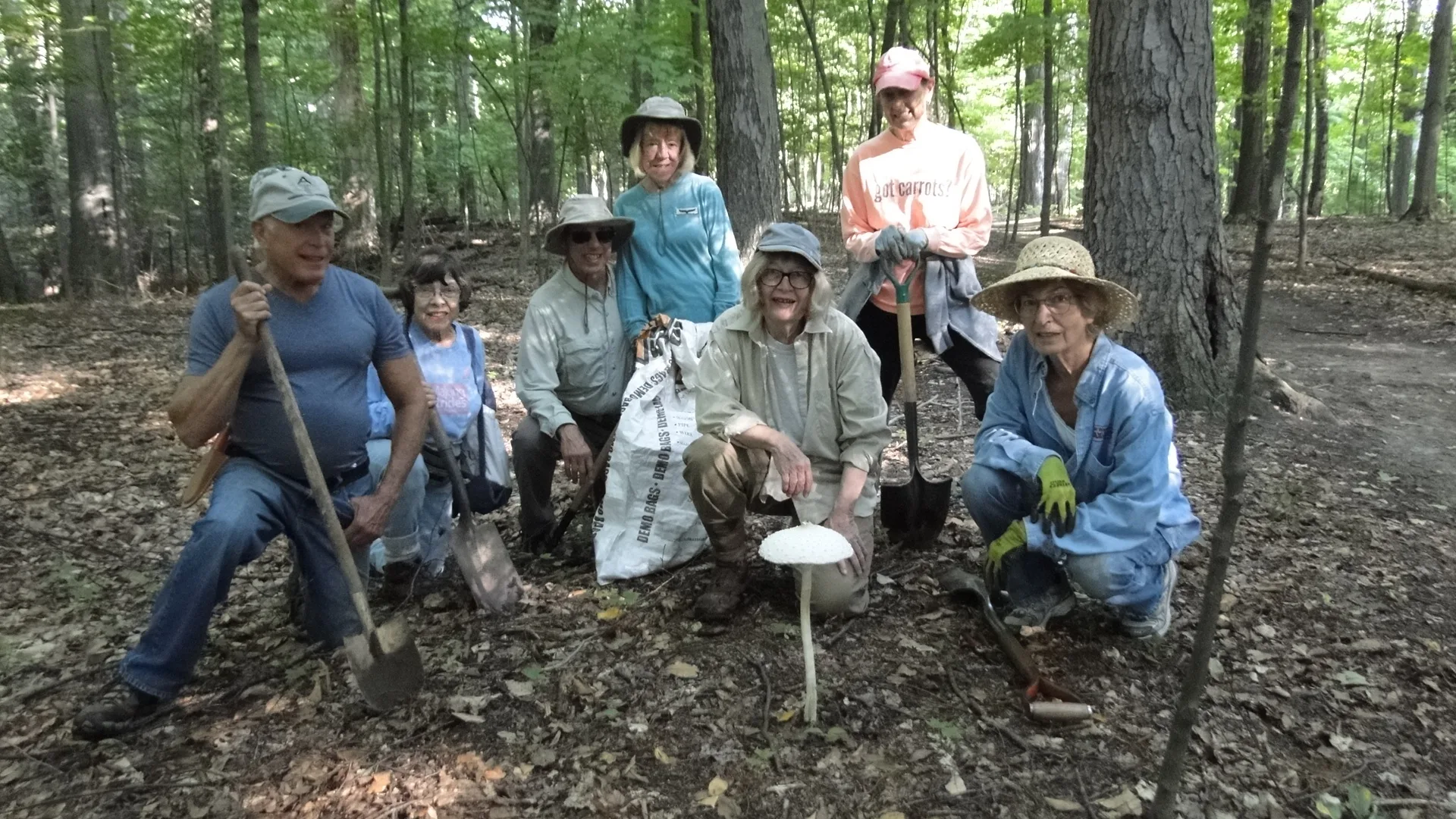Seven adults with shovels in the woods, crouched around a large white mushroom