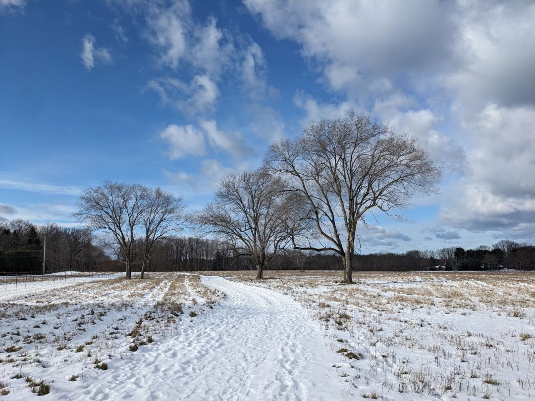 Gosnell Big Field Trail in Winter