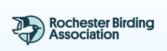 Rochester Birding Association Logo