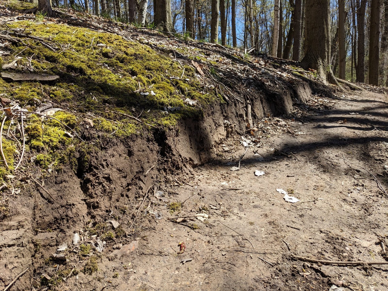 June 2026 Workday at Herman Road