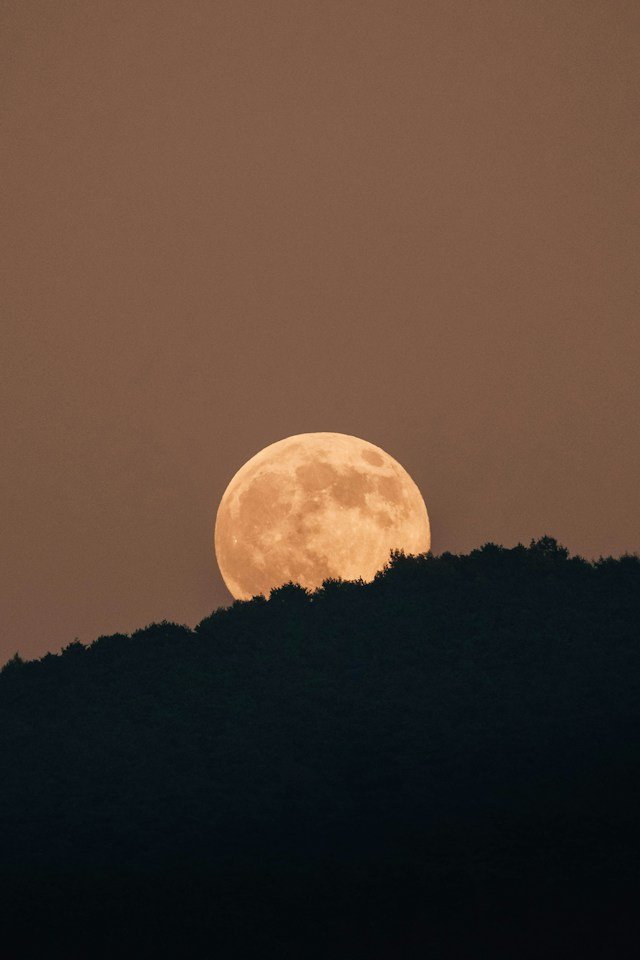 photo credit insung yoon (c)